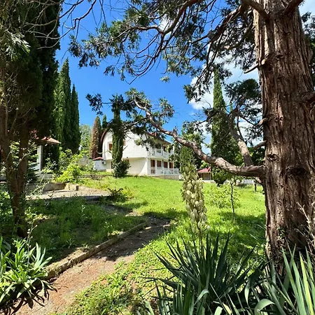 Hotel Orpheus 3*